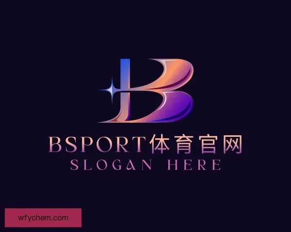 了解Bsport手机版